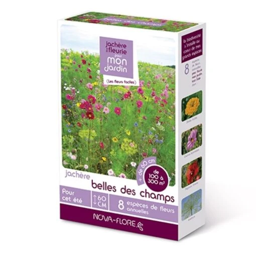 Jachère Belles Des Champs -Promos Jardin Bulbes Magasin 3D JACHERE BELLES DES CHAMPS 16029 1