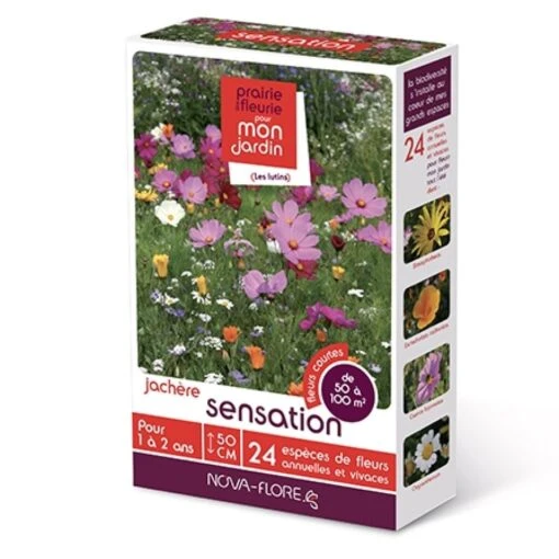 Jachère Sensation -Promos Jardin Bulbes Magasin 3D JACHERE SENSATION 16030 1