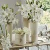 Collection Bulbes Pour Bouquets Modernes Blancs -Promos Jardin Bulbes Magasin Collection bulbes pour bouquets modernes blancs 18974 1