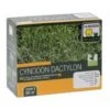 Gazon Cynodon Dactylon - Chiendent Pour Pelouse Tropicale -Promos Jardin Bulbes Magasin cynodon 500g 3284721010051 16073 1